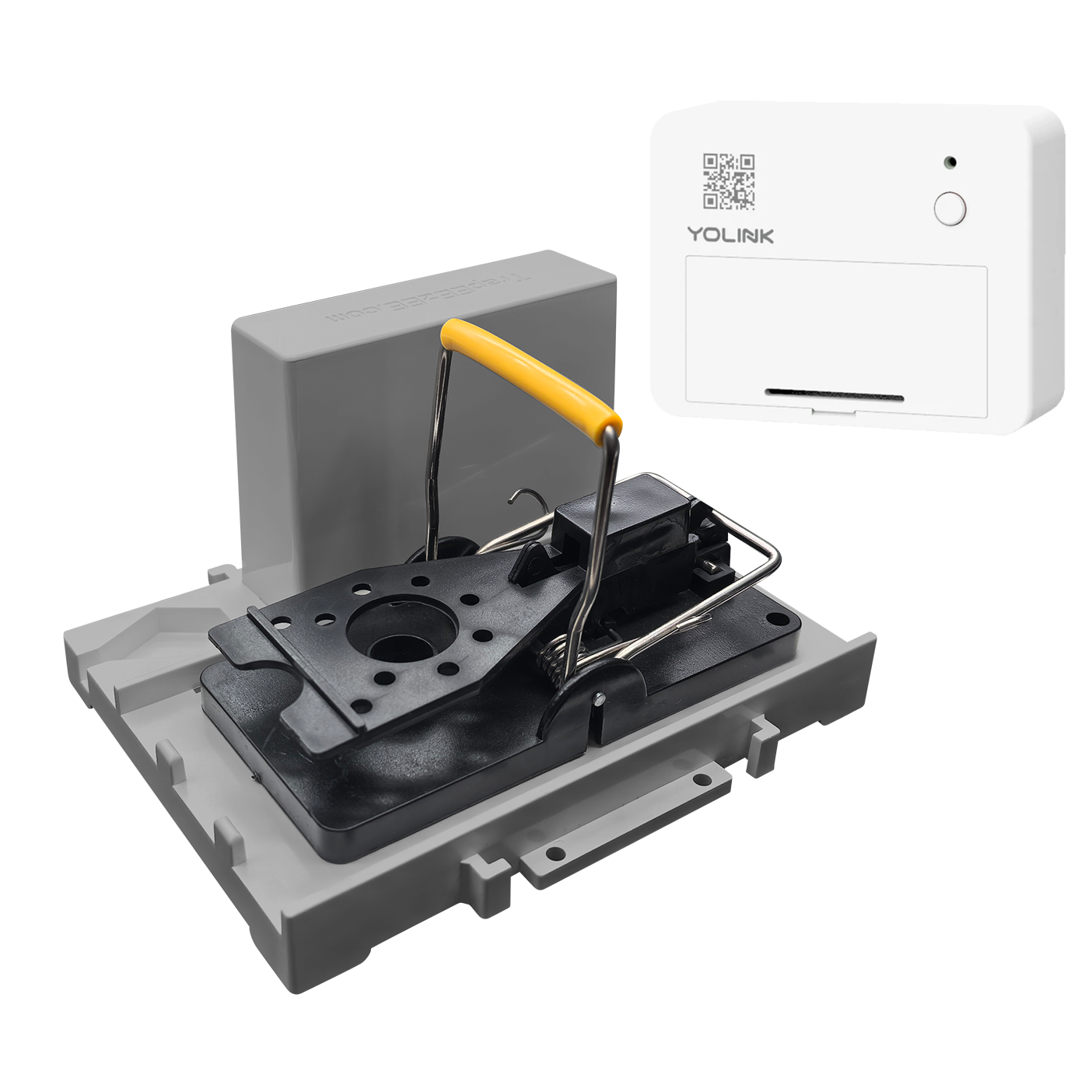 TrapEEzEE Smart mouse snap trap and vibration sensor.