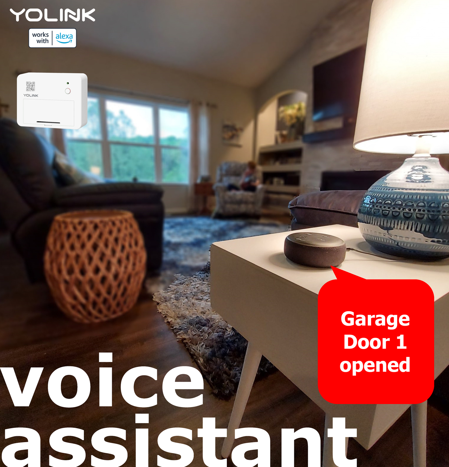 Garage door opener 2024 works with alexa